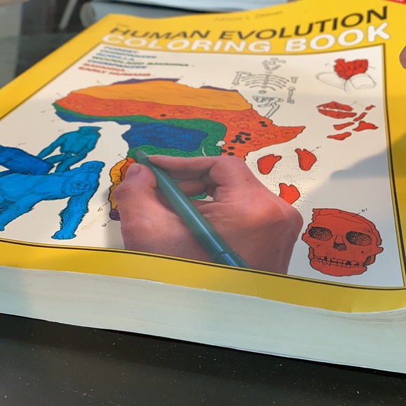 Human Evolution Coloring Book - Picture 2 of 2